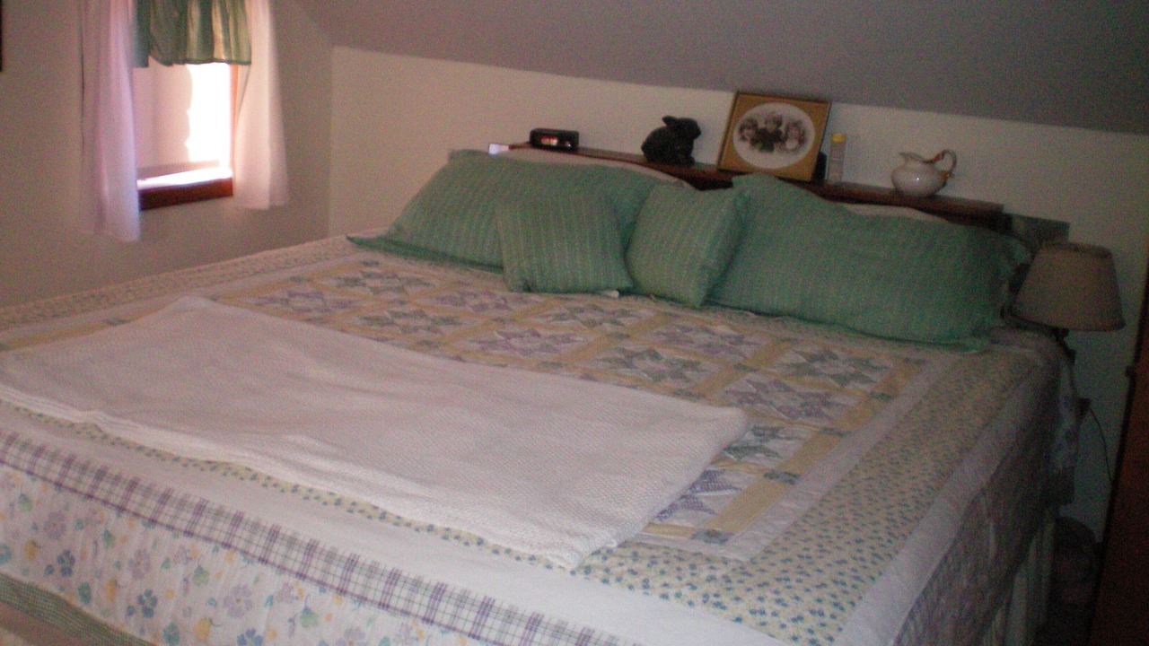 Photo of Bedroom in Lowman