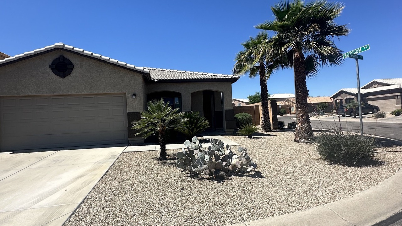 Photo of Others in San Tan Valley