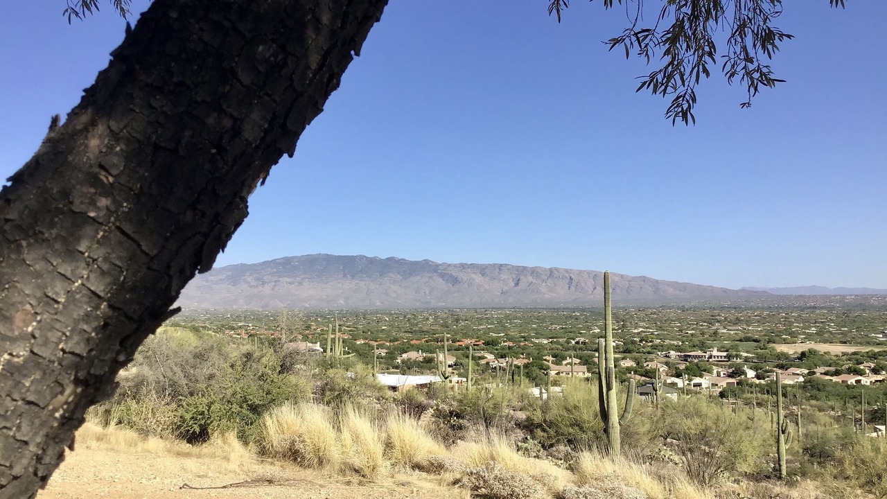 Photo of Others in Sabino Estates