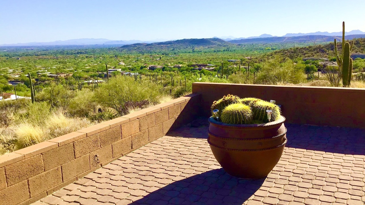 Photo of Others in Sabino Estates