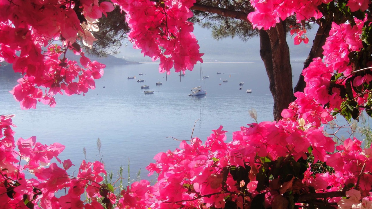 Photo of Outdoor in Tiuccia