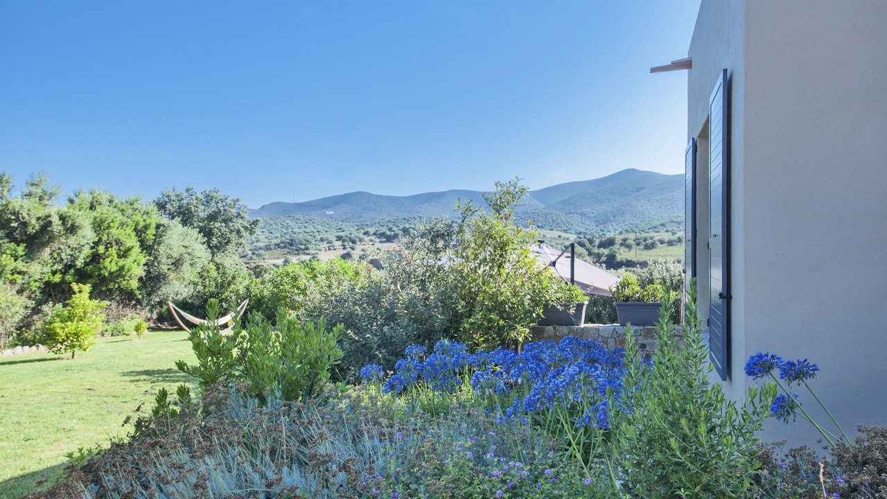 Photo of Outdoor in Palasca