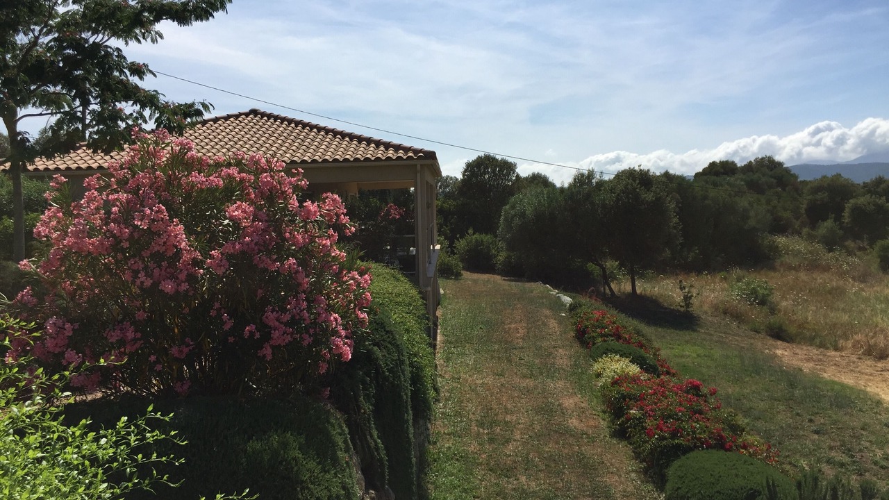 Photo of Outdoor in Sollacaro