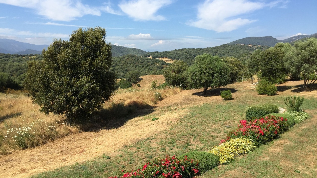 Photo of Outdoor in Sollacaro