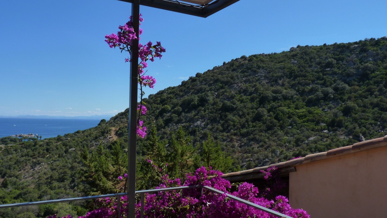 Photo of Outdoor in Porto-Vecchio