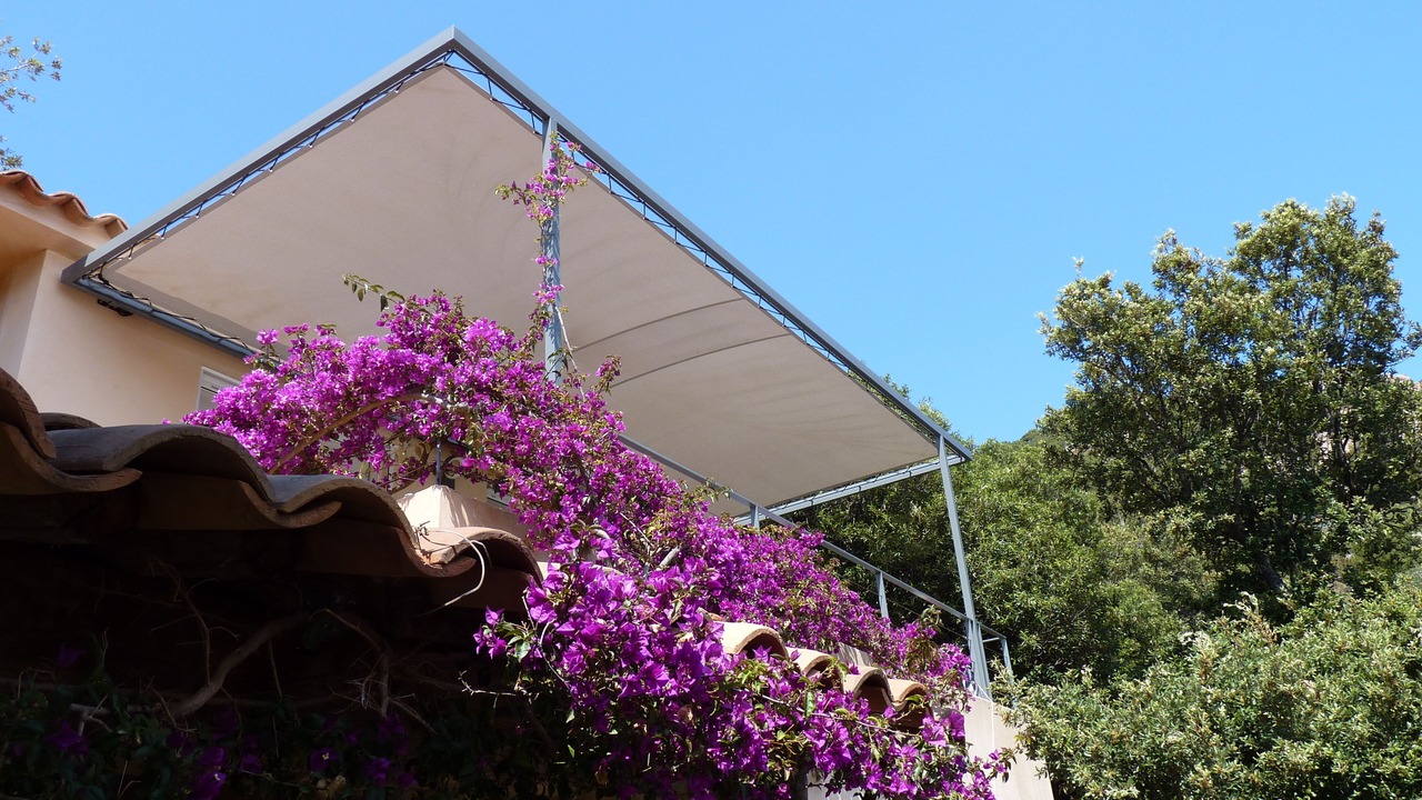 Photo of Outdoor in Porto-Vecchio
