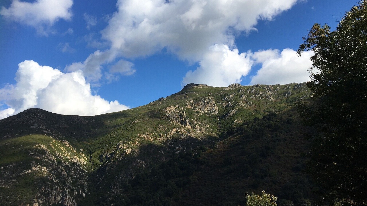 Photo of Others in Poggio-dʼOletta