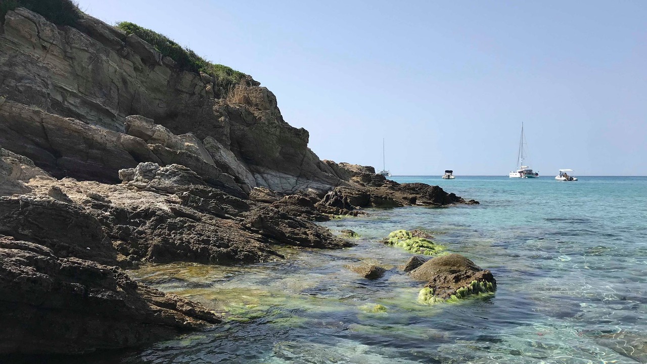 Photo of Others in L'Ile-Rousse