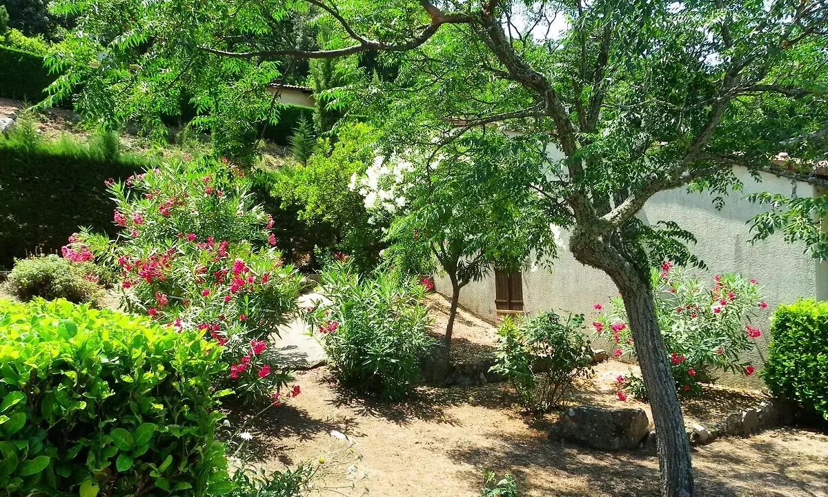 Photo of Outdoor in Vico