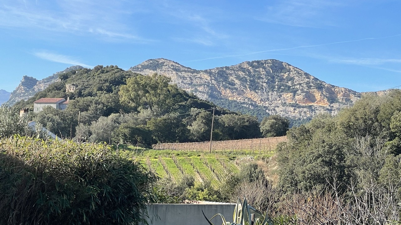 Photo of Outdoor in Patrimonio