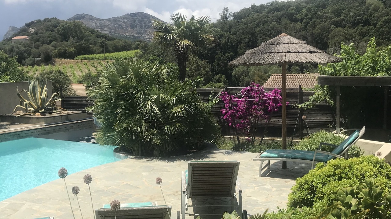 Photo of Outdoor in Patrimonio