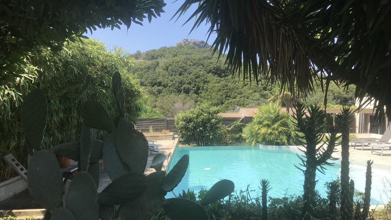 Photo of Outdoor in Patrimonio