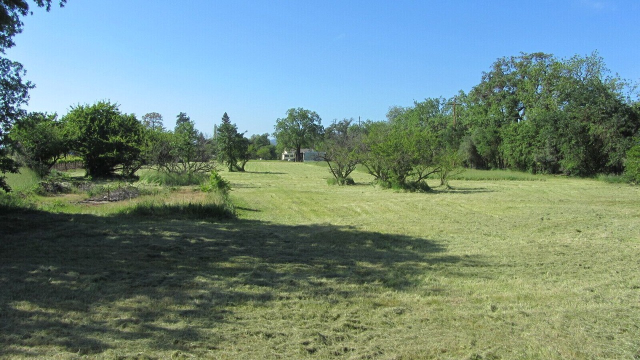 Photo of Others in Geyserville