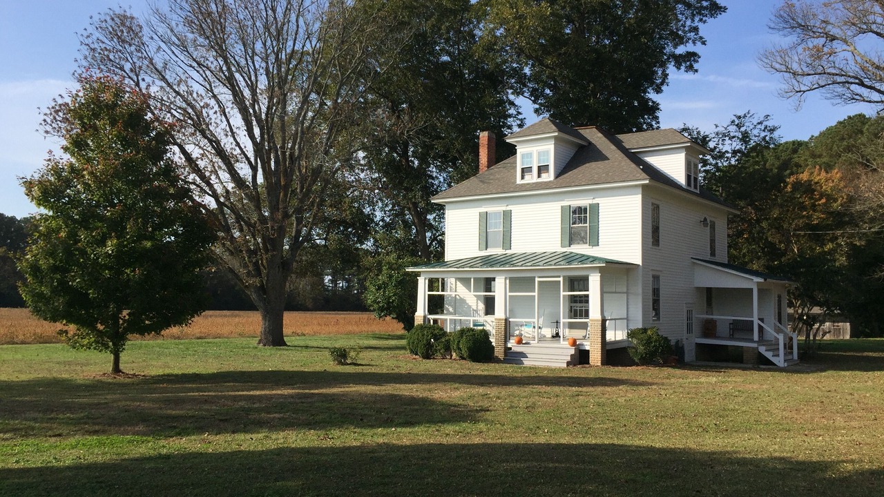 Photo of Outdoor in Birdsnest