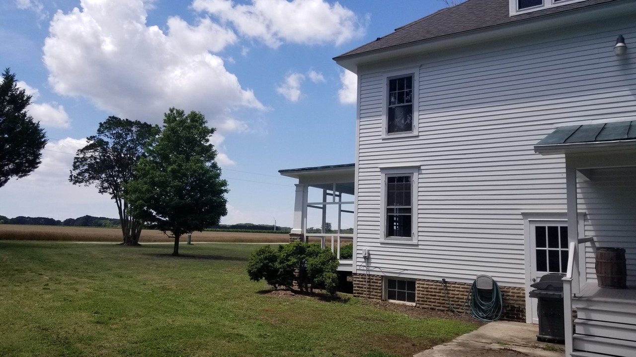 Photo of Outdoor in Birdsnest