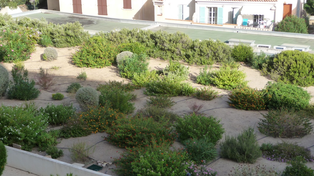 Photo of Outdoor in Calvi