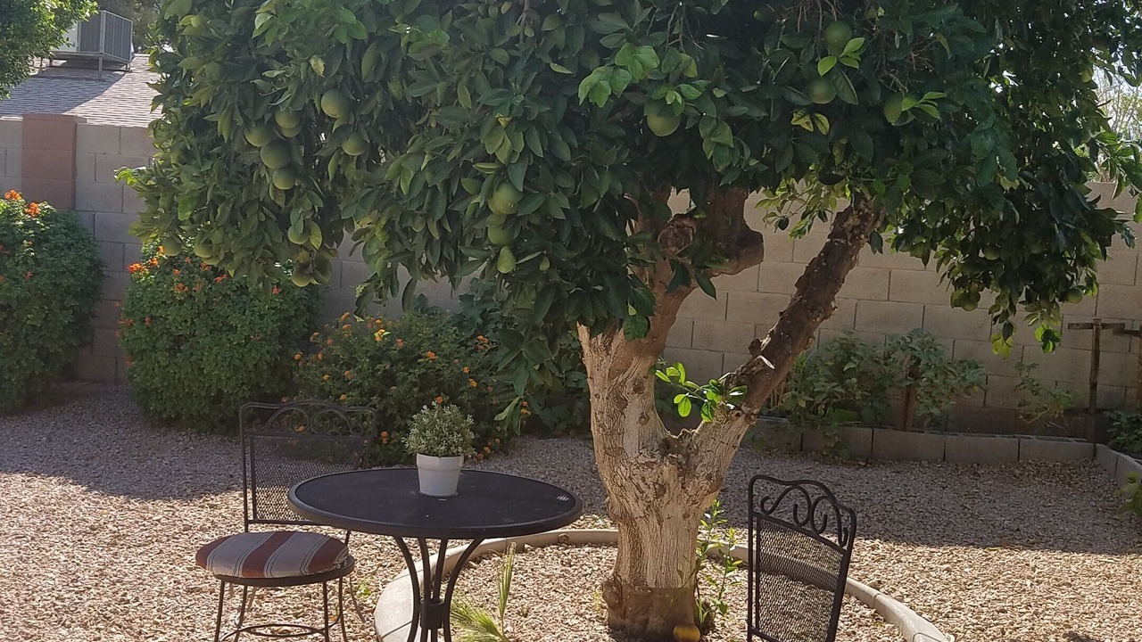 Photo of Outdoor in Paradise Valley Village