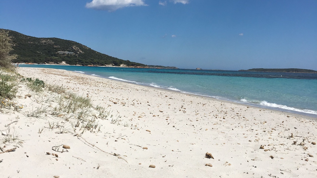 Photo of Others in Porto-Vecchio