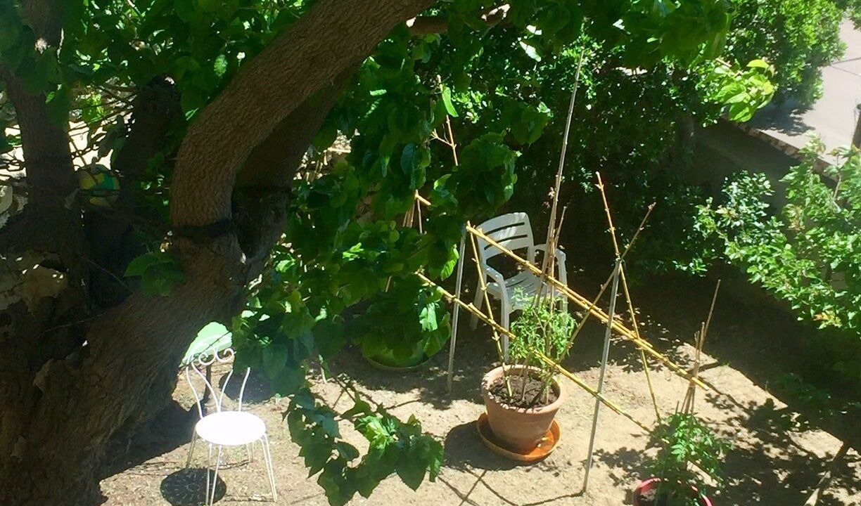 Photo of Patio Balcony in Corbara