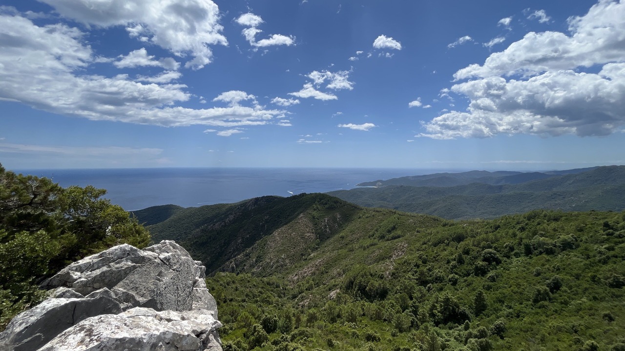 Photo of Outdoor in Sari-Solenzara