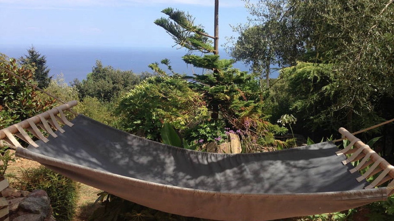 Photo of Outdoor in Sari-Solenzara