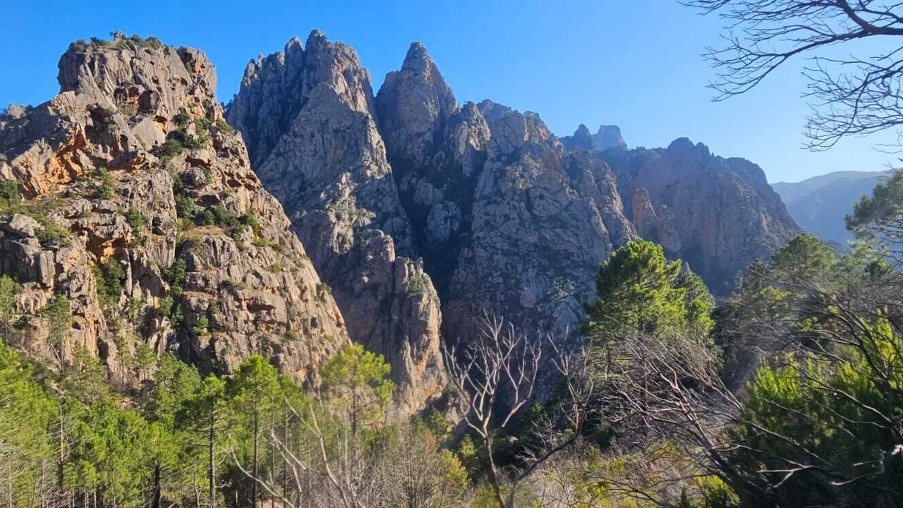 Photo of Outdoor in Sari-Solenzara