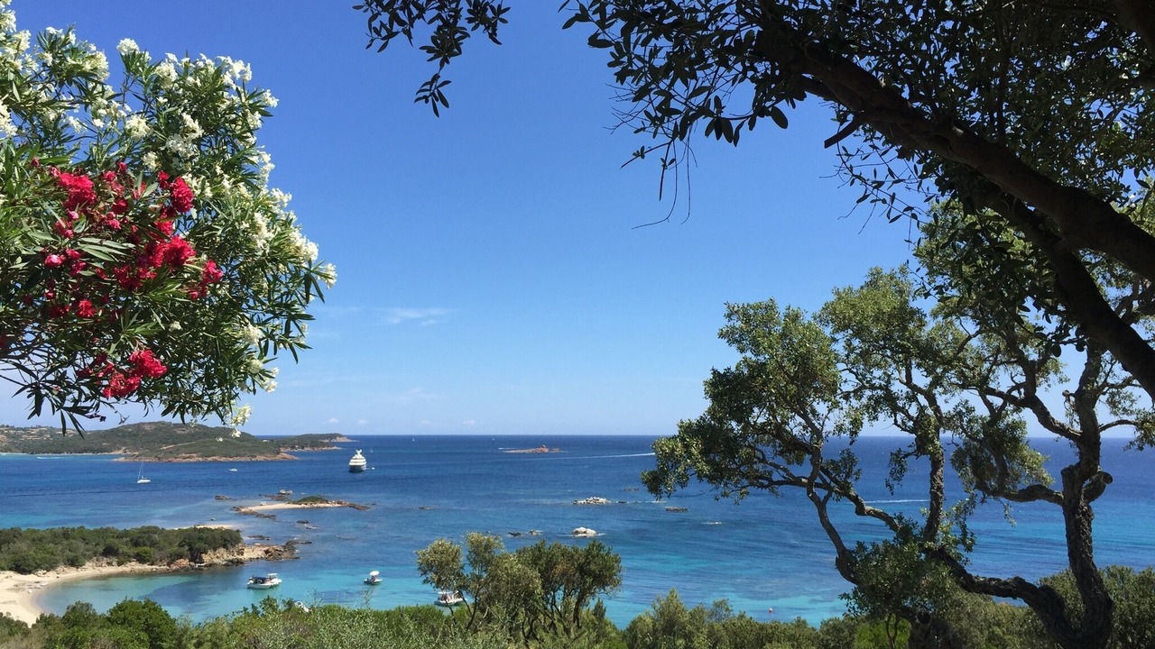 Photo of Others in Cala Rossa