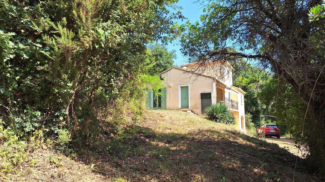 Photo of Outdoor in Santa-Lucia-di-Moriani