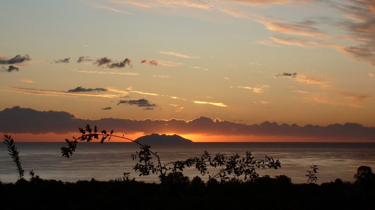 Photo of Others in Santa-Lucia-di-Moriani