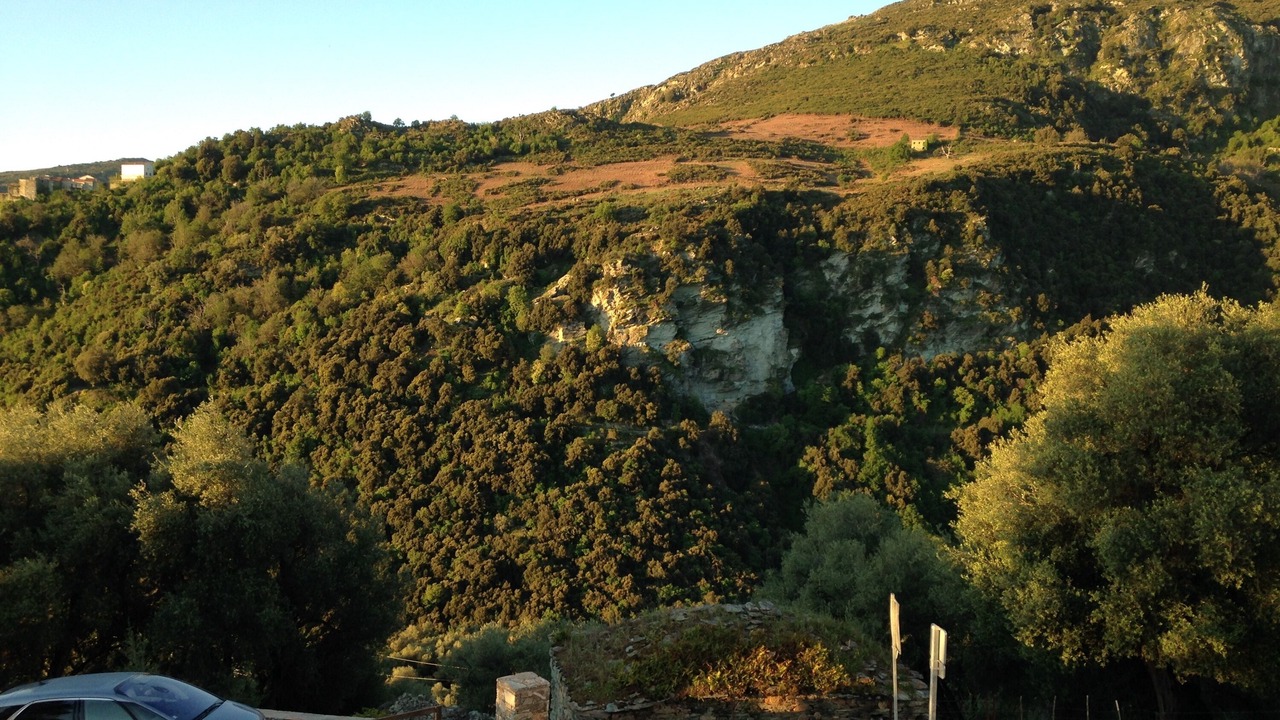Photo of Outdoor in Santo-Pietro-di-Tenda