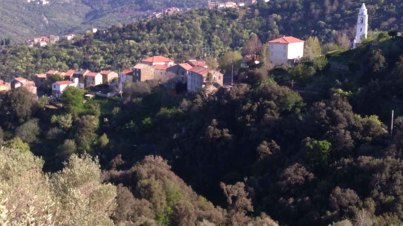 Photo of Outdoor in Santo-Pietro-di-Tenda