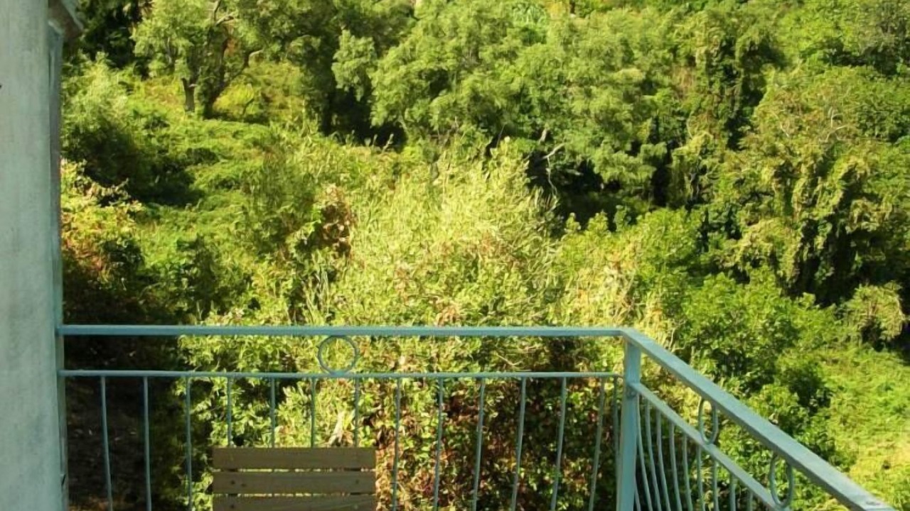 Photo of Outdoor in Rogliano