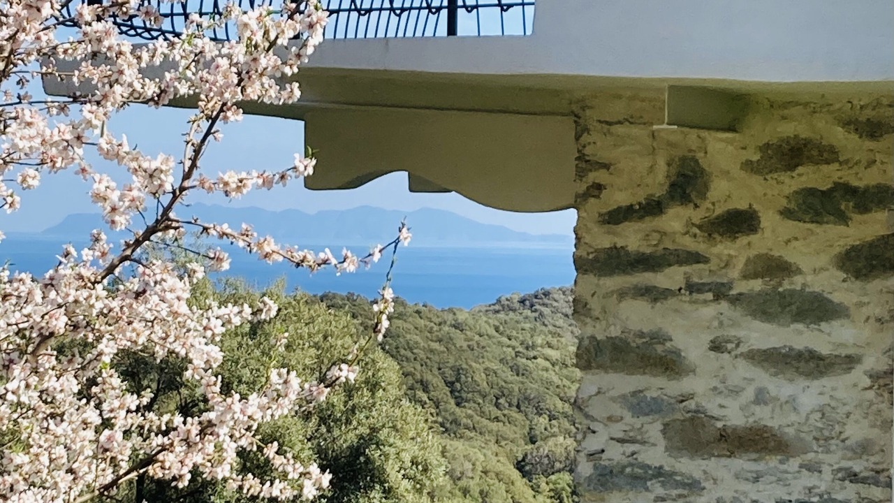 Photo of Outdoor in Rogliano