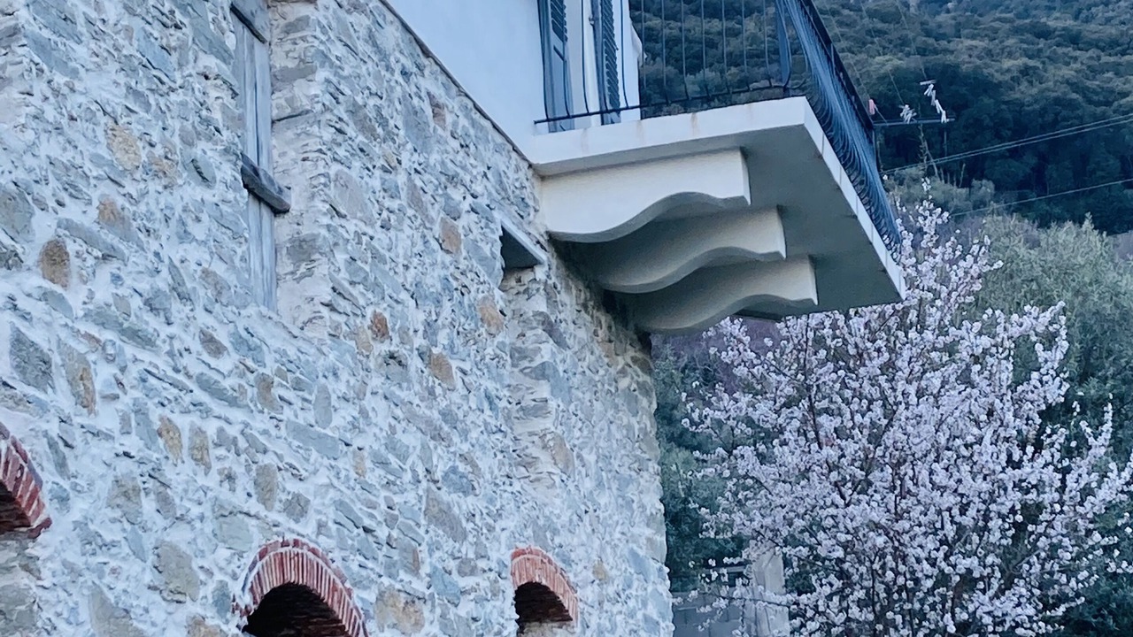 Photo of Outdoor in Rogliano
