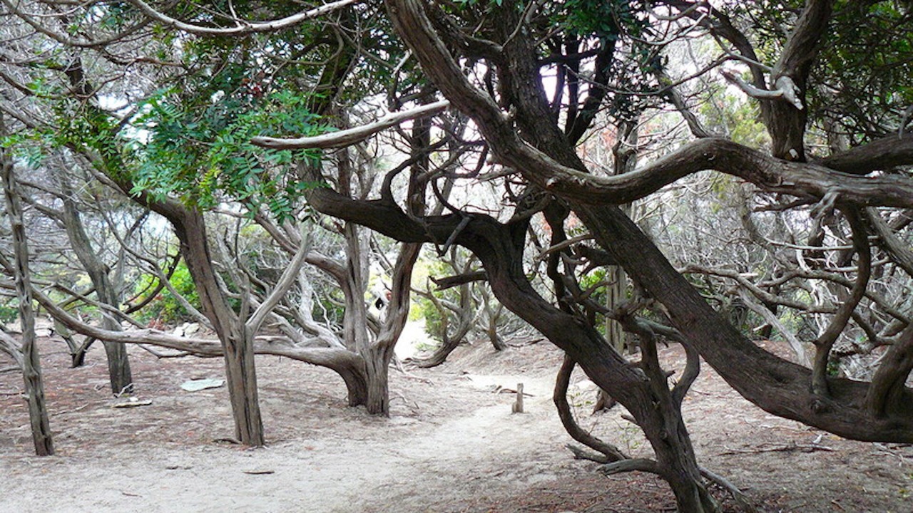 Photo of Outdoor in Ersa