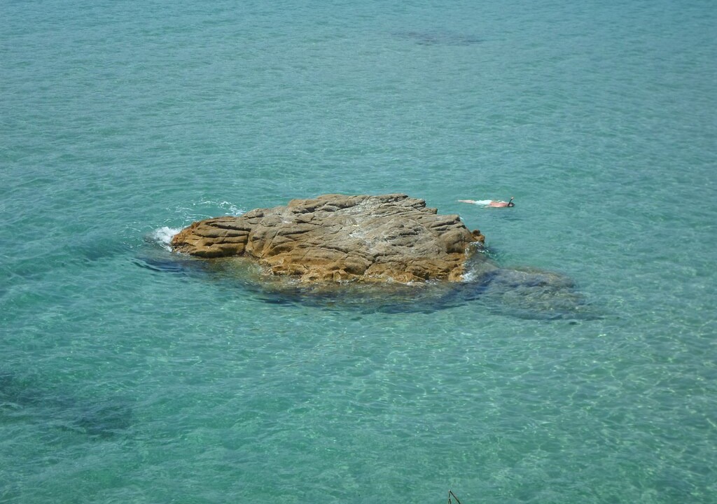 Photo of Others in Coggia