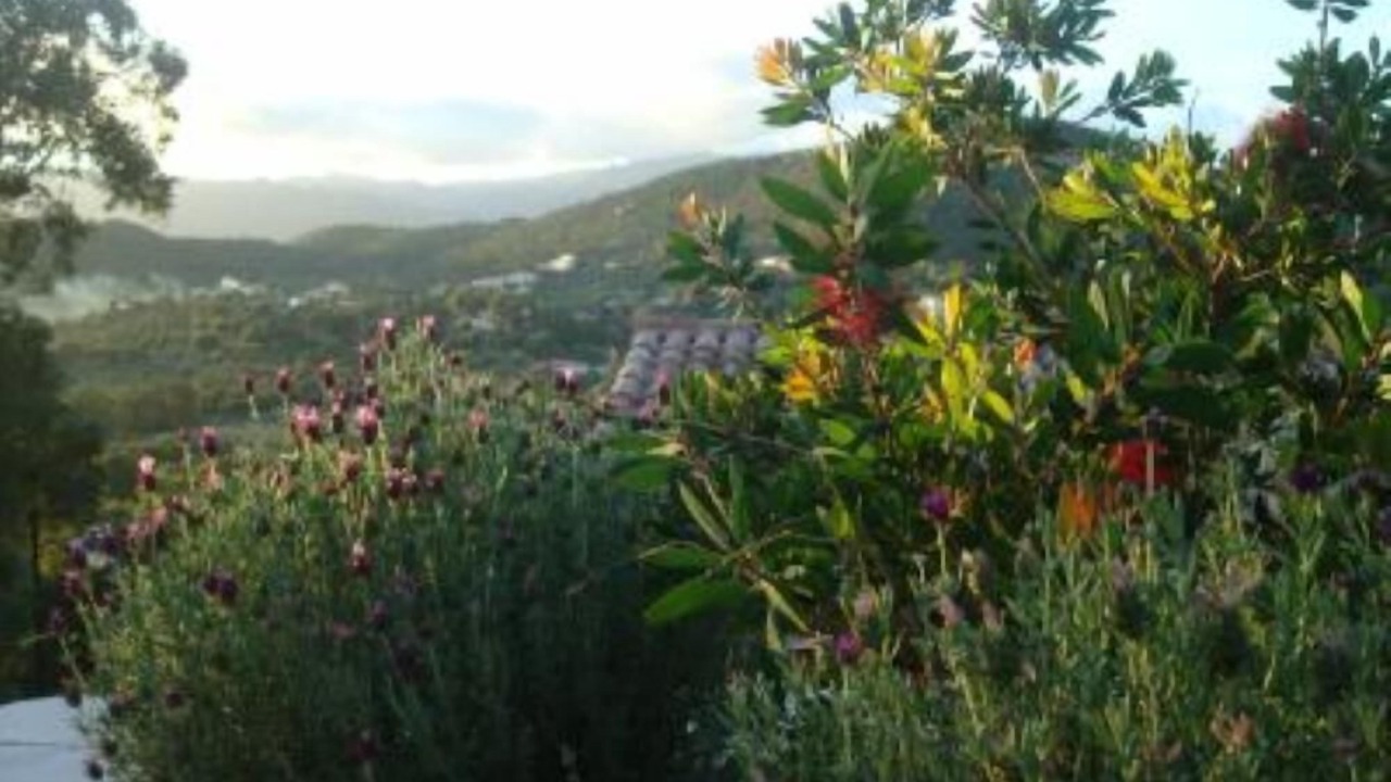Photo of Outdoor in Cirendinu