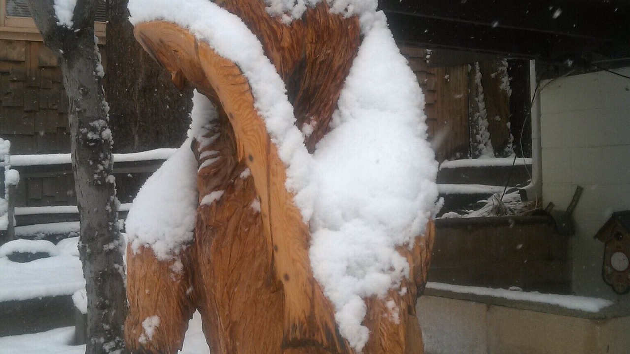 Photo of Others in Wrightwood
