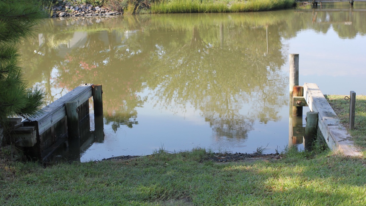 Photo of Others in Point Lookout
