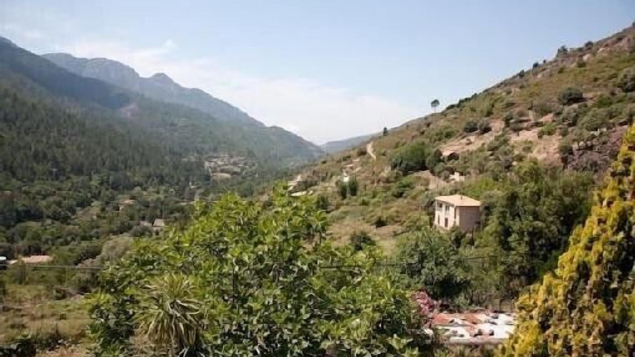 Photo of Others in Manso
