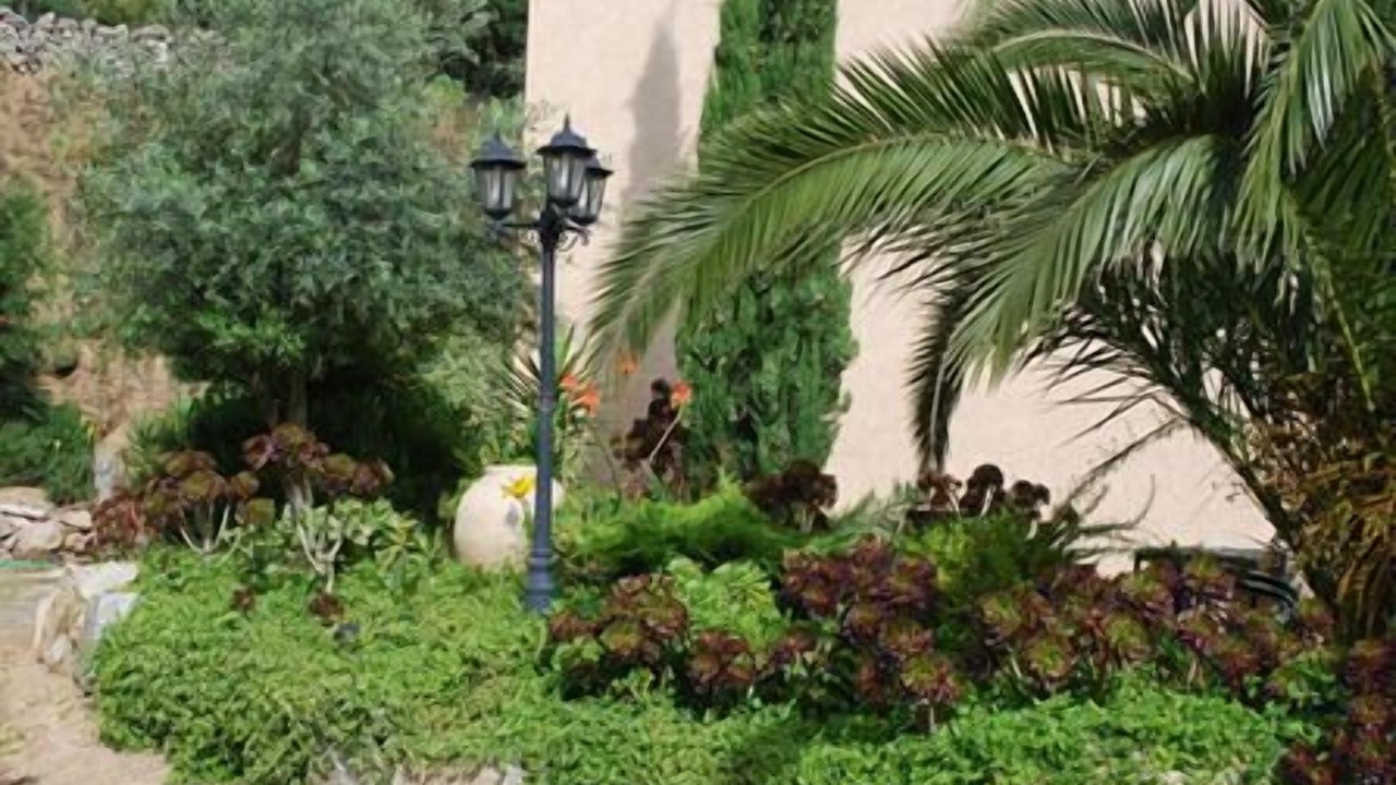 Photo of Outdoor in Costa