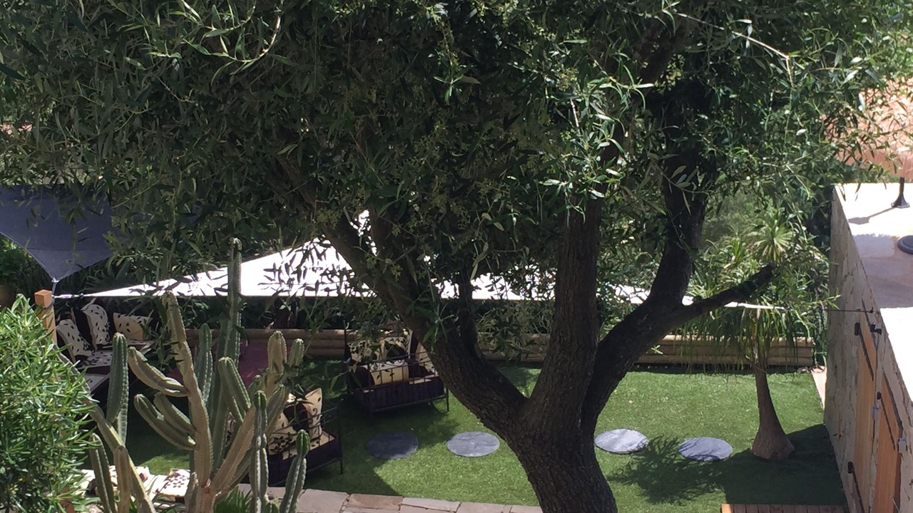 Photo of Outdoor in Appietto