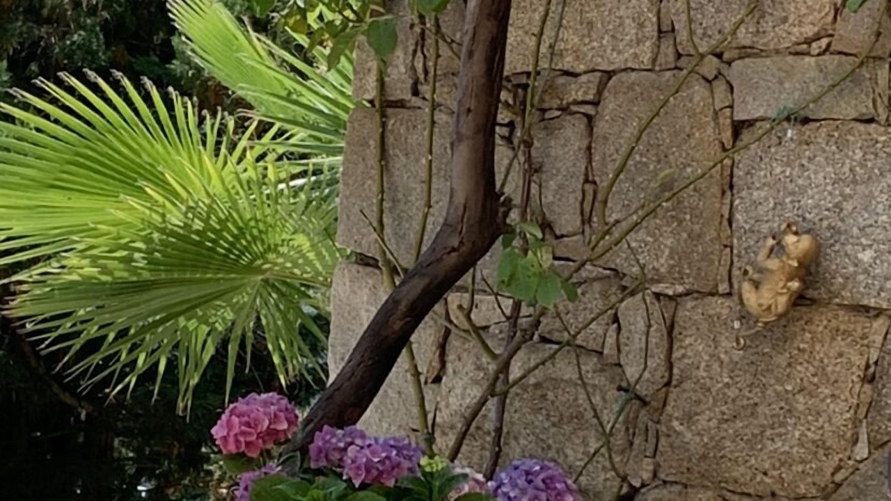 Photo of Outdoor in Appietto