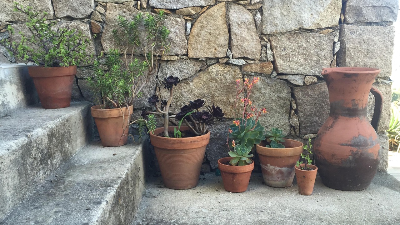Photo of Outdoor in Appietto
