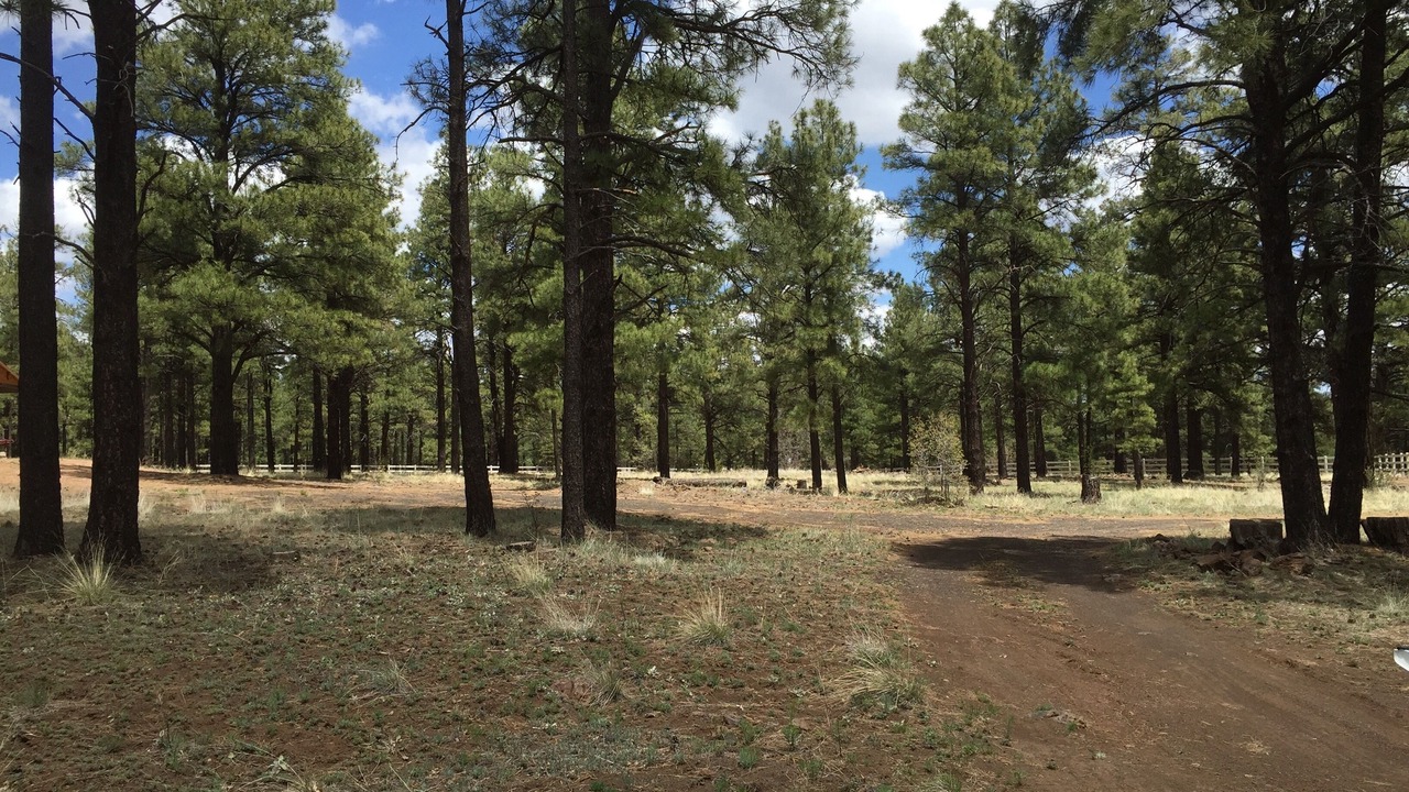 Photo of Others in Flagstaff
