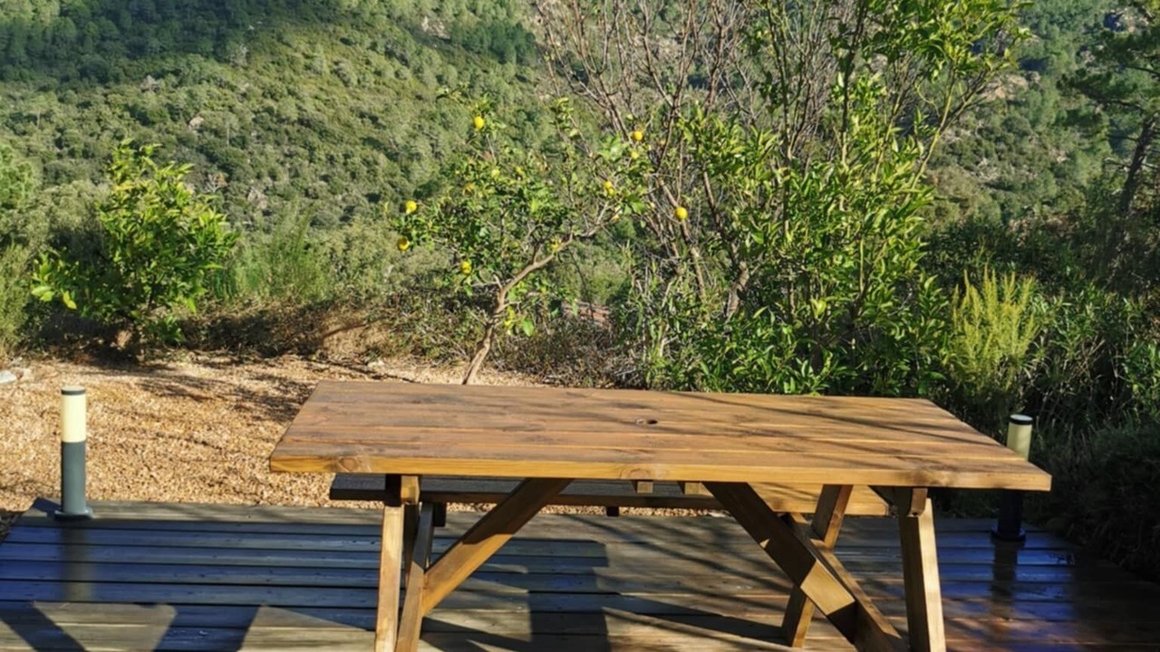 Photo of Outdoor in Zonza