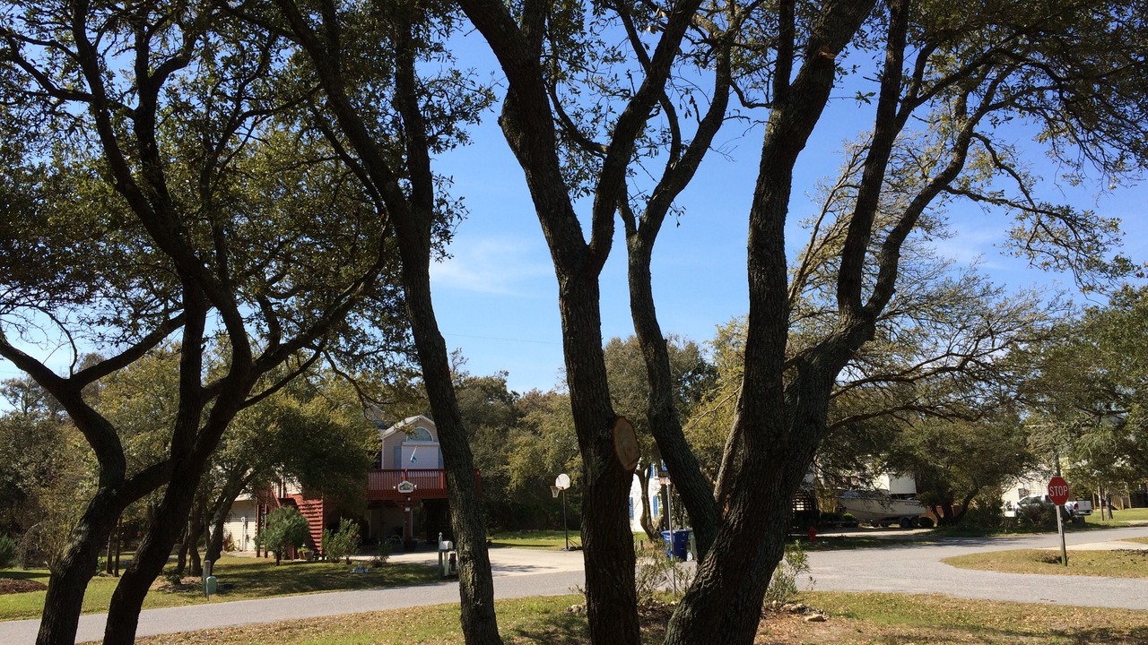 Photo of Others in Nags Head