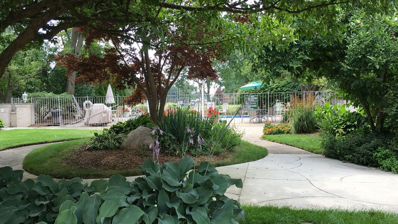 Photo of Outdoor in Ottawa