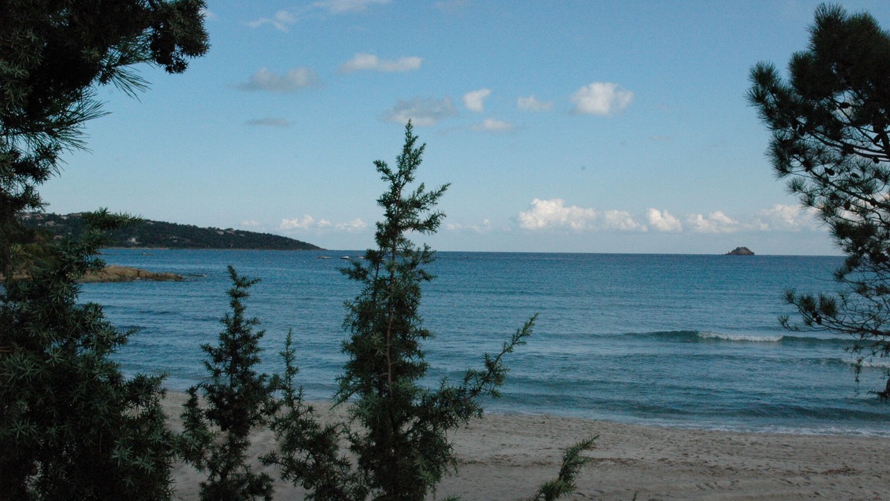 Photo of Others in Porto-Vecchio
