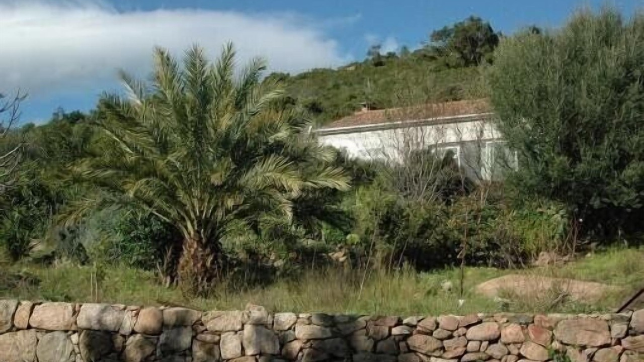 Photo of Outdoor in Porto-Vecchio